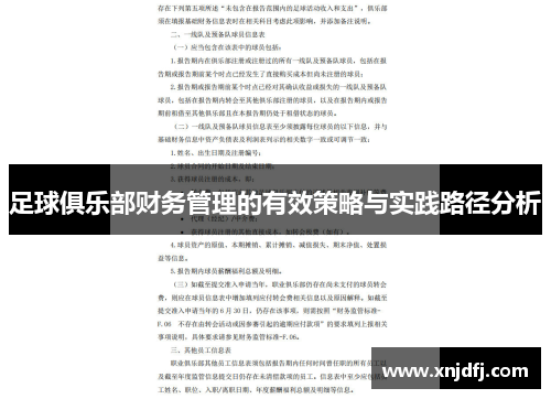 足球俱乐部财务管理的有效策略与实践路径分析